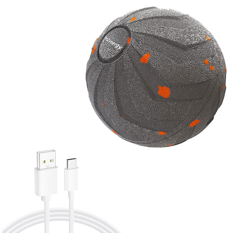 Interactive Chew Ball for Dogs - Bounce & Spin Motion Toy