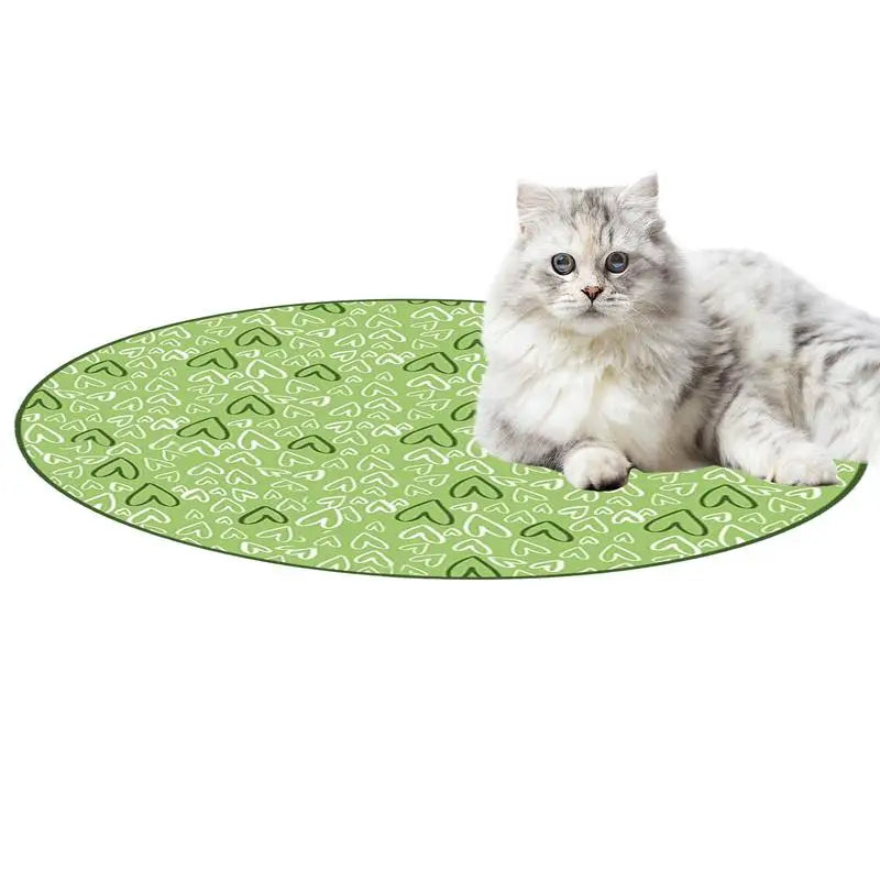 Concealed Motion Cat Hunting Toy - Interactive Chase Exercise Toy