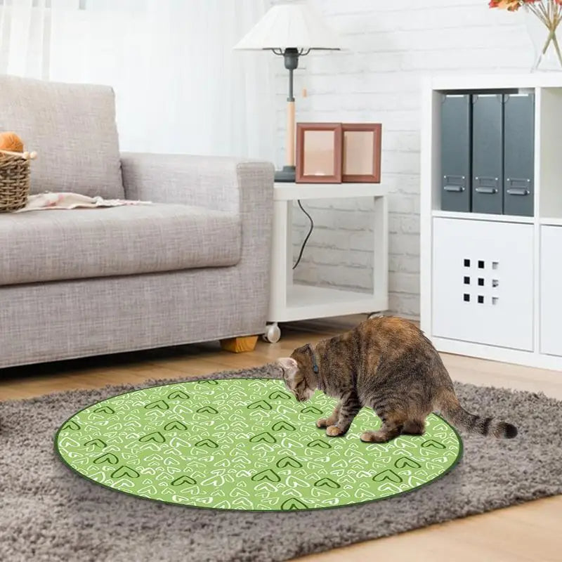 Concealed Motion Cat Hunting Toy - Interactive Chase Exercise Toy