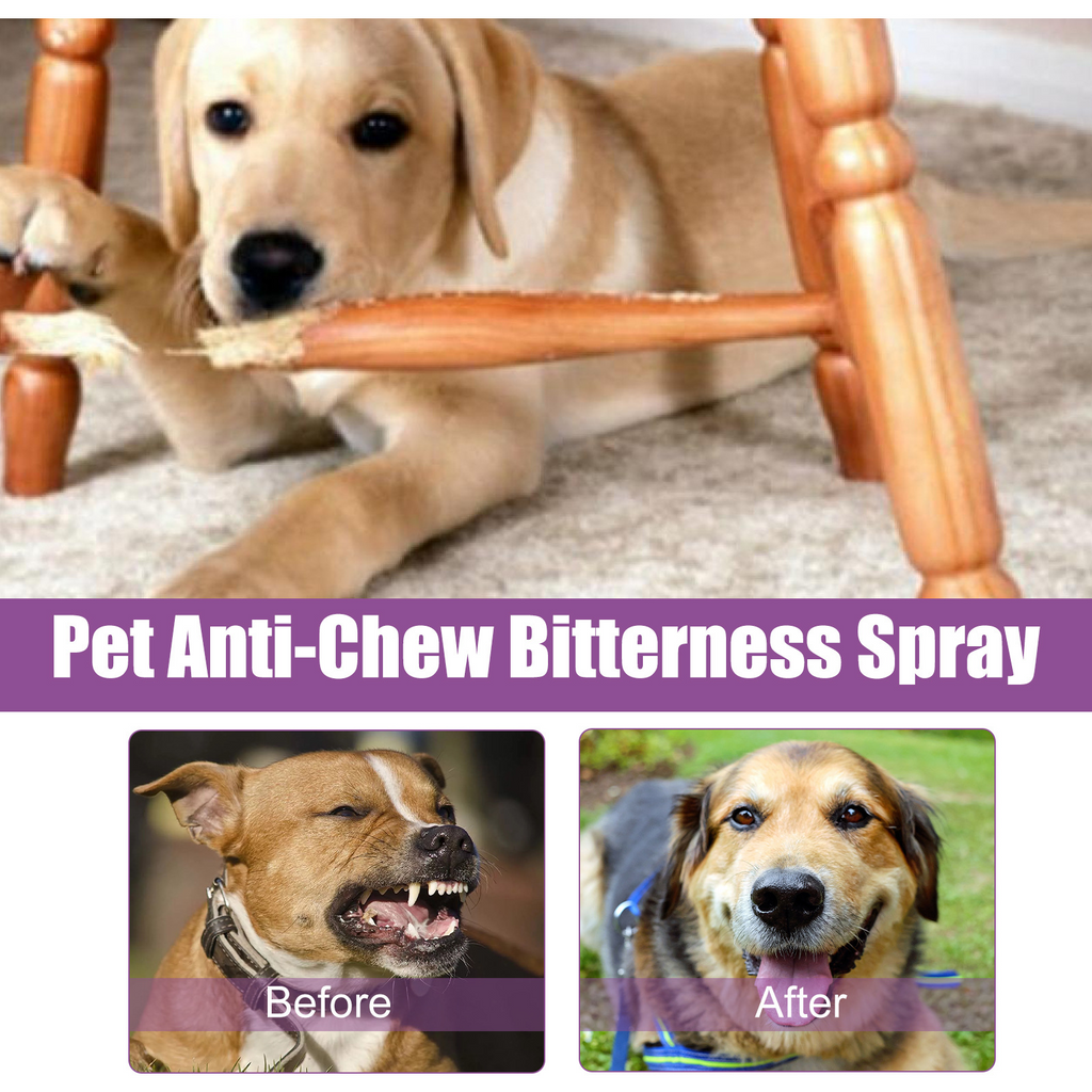 Calming Spray for Pets - Stress & Noise Anxiety Relief