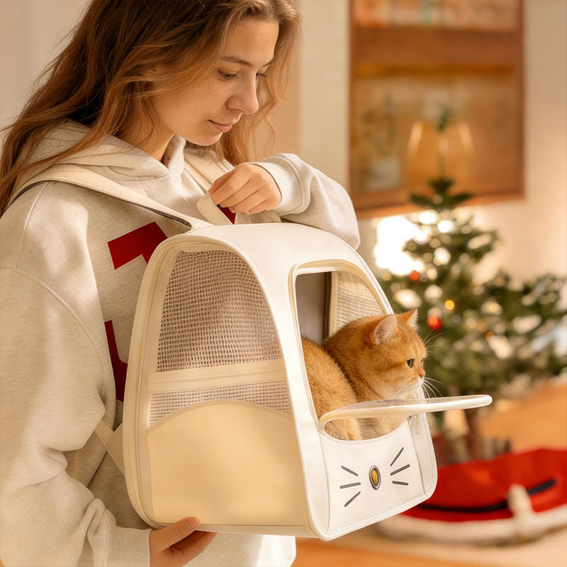 Breathable Mesh Pet Carrier Backpack for Small Dogs & Cats