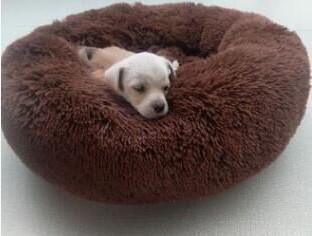 Donut Cuddler Bed for Dogs & Cats - Ultra-Soft, Washable