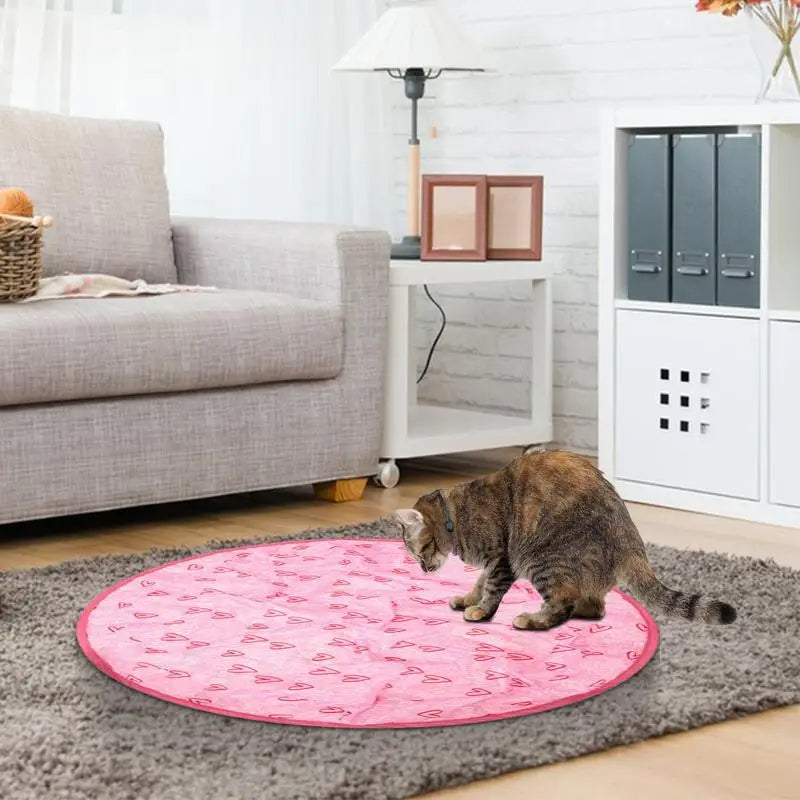Concealed Motion Cat Hunting Toy - Interactive Chase Exercise Toy