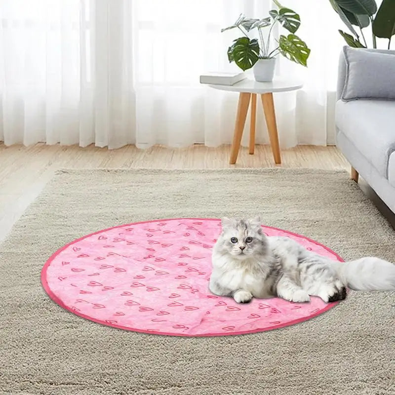 Concealed Motion Cat Hunting Toy - Interactive Chase Exercise Toy
