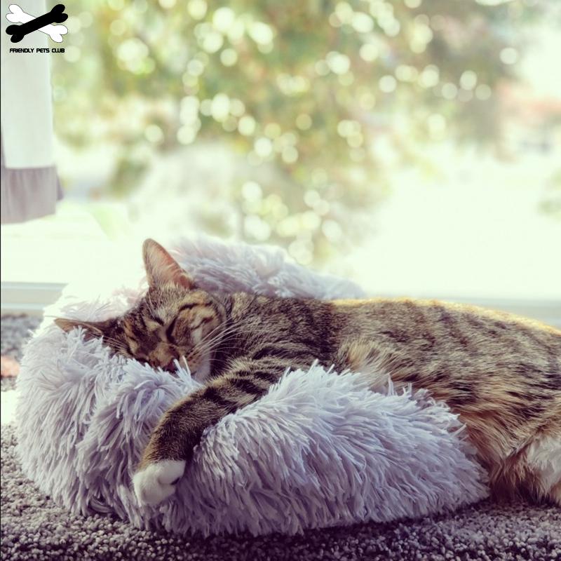Donut Cuddler Bed for Dogs & Cats - Ultra-Soft, Washable