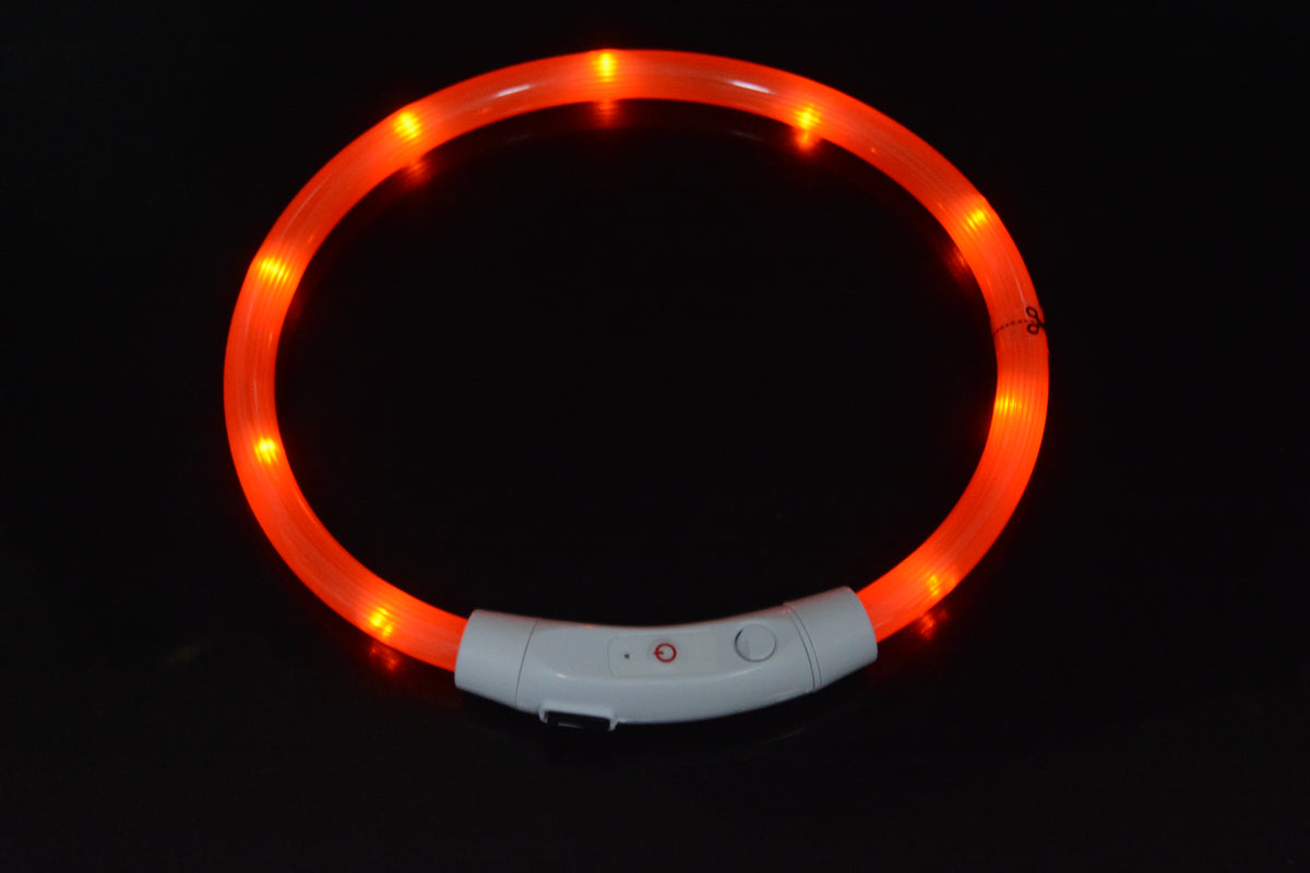 USB Rechargeable LED Glow Collar for Dogs - Night Safety Light-Up Collar