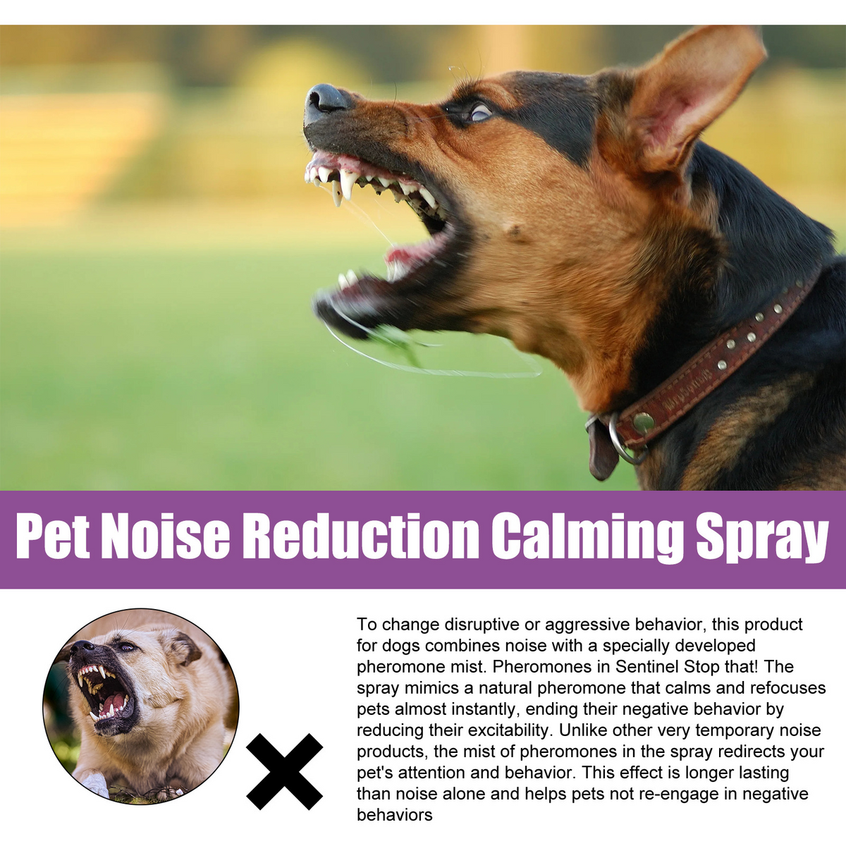 Calming Spray for Pets - Stress & Noise Anxiety Relief