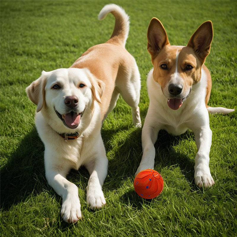 Interactive Chew Ball for Dogs - Bounce & Spin Motion Toy