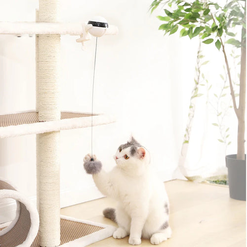 Automatic Lifting Cat Ball Toy - Interactive Smart Teaser