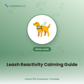 Leash Reactivity Calming Guide