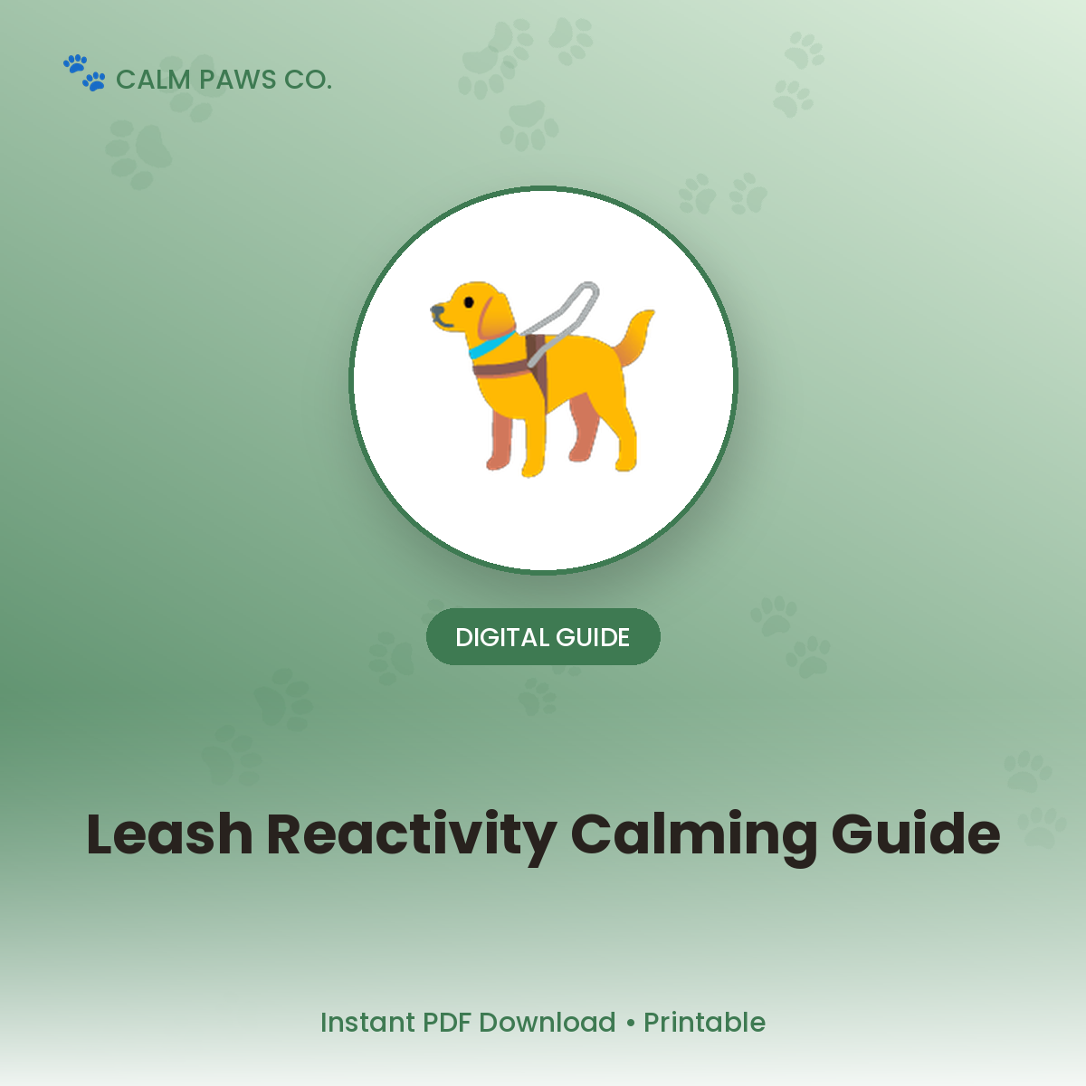 Leash Reactivity Calming Guide