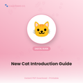 New Cat Introduction Guide