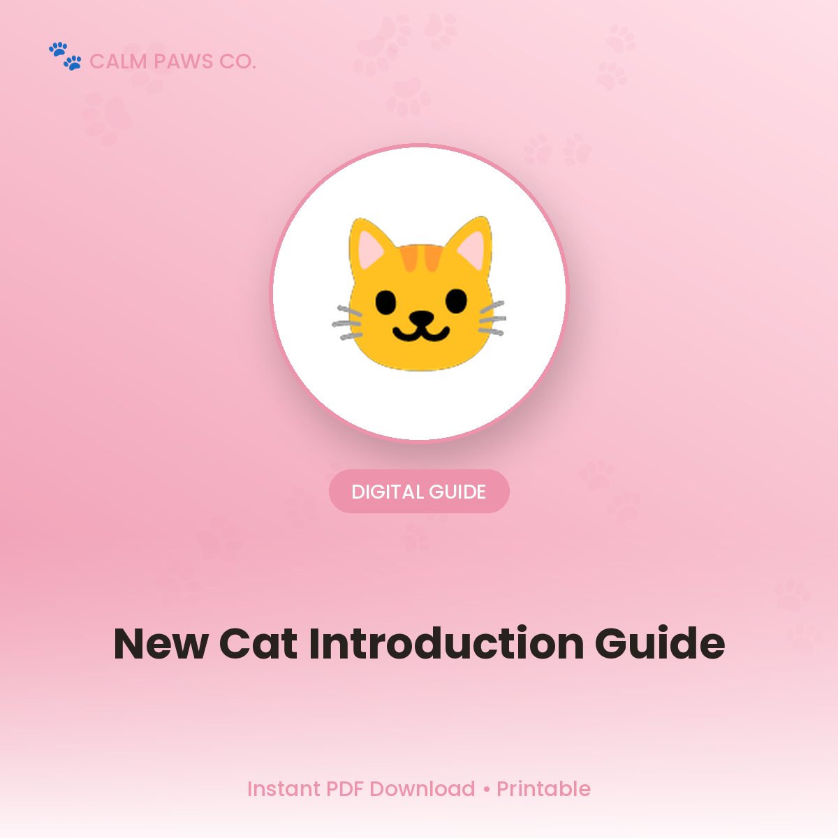 New Cat Introduction Guide