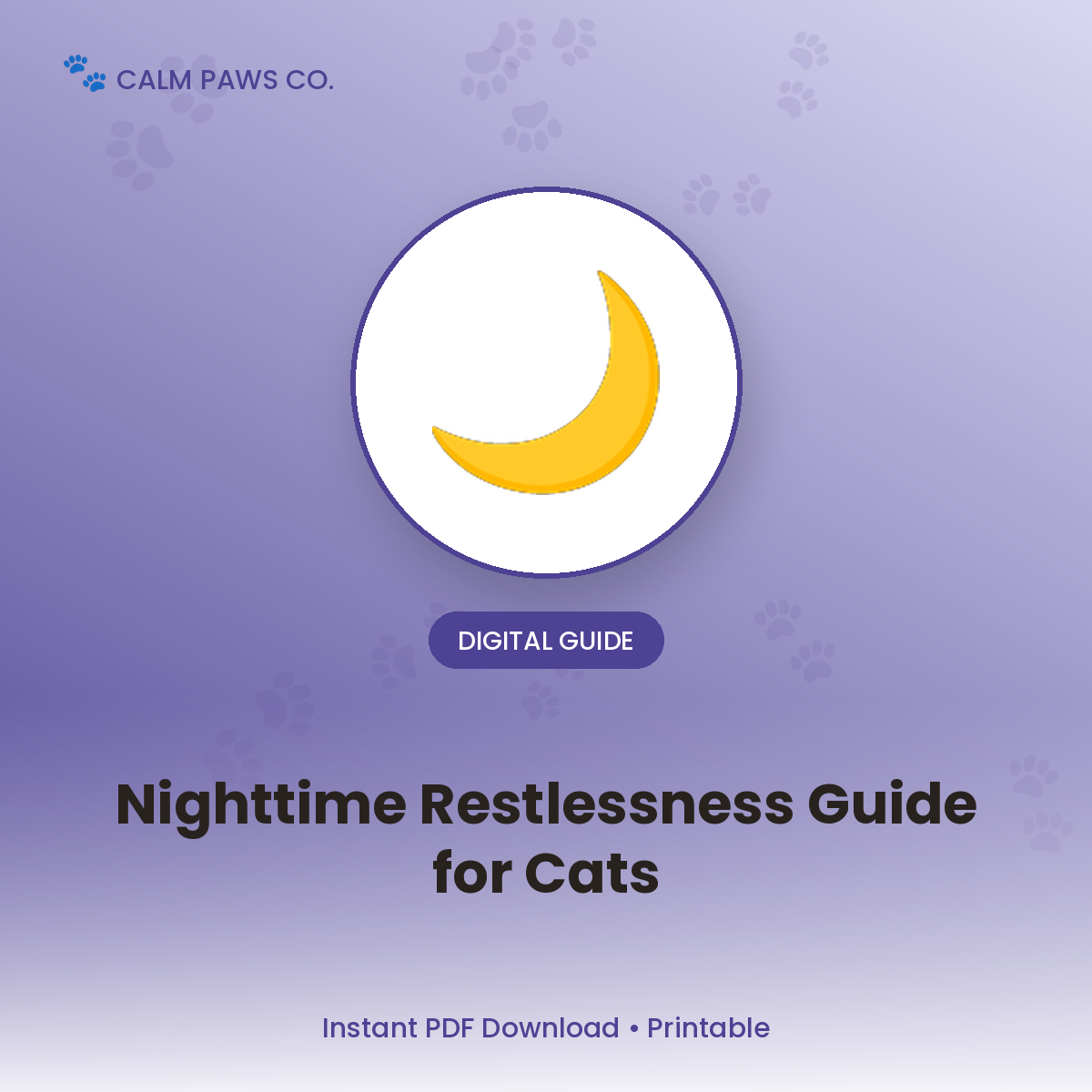 Cat Nighttime Restlessness Guide