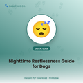 Dog Nighttime Restlessness Guide
