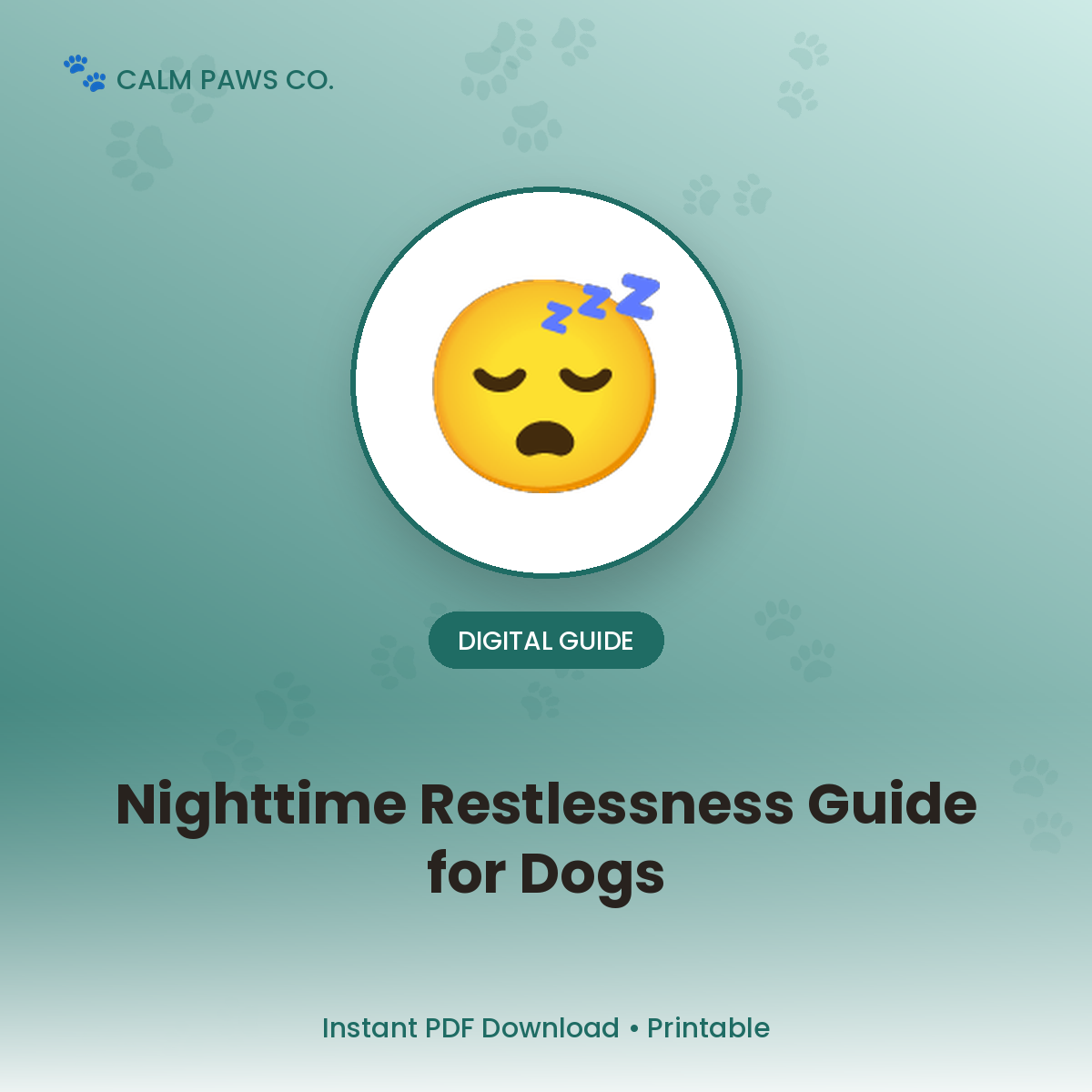 Dog Nighttime Restlessness Guide