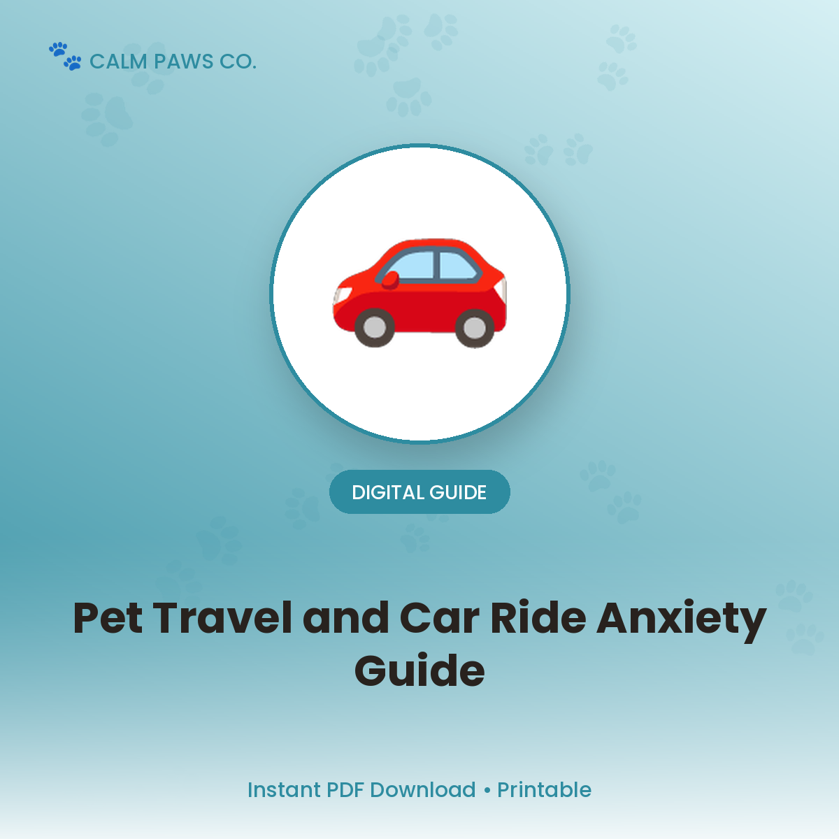 Pet Travel & Car Ride Anxiety Guide