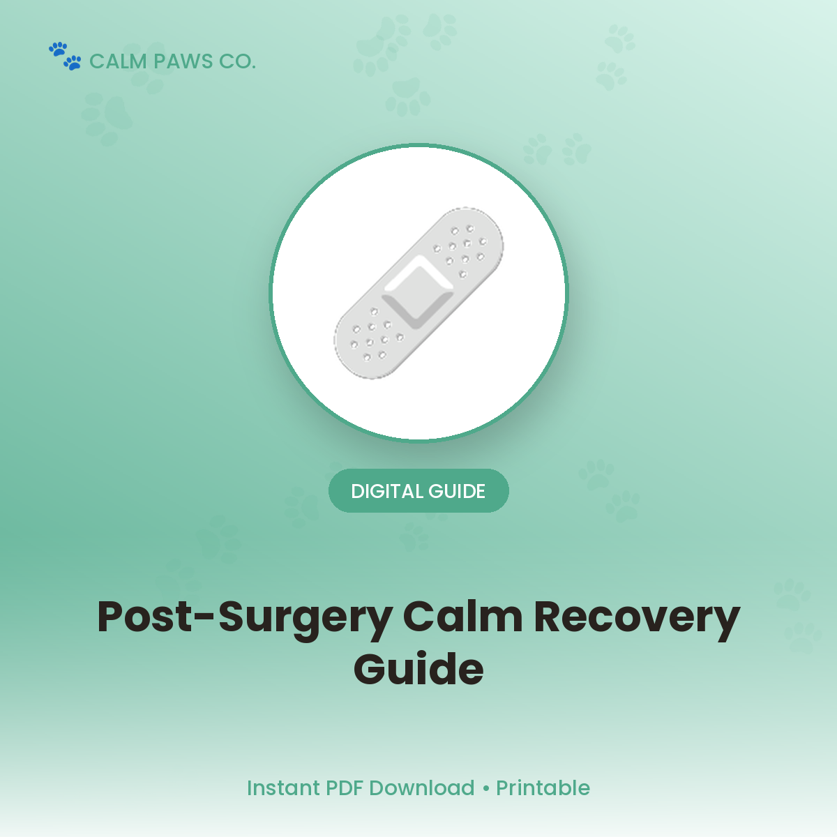 Post-Surgery Recovery Calm Guide
