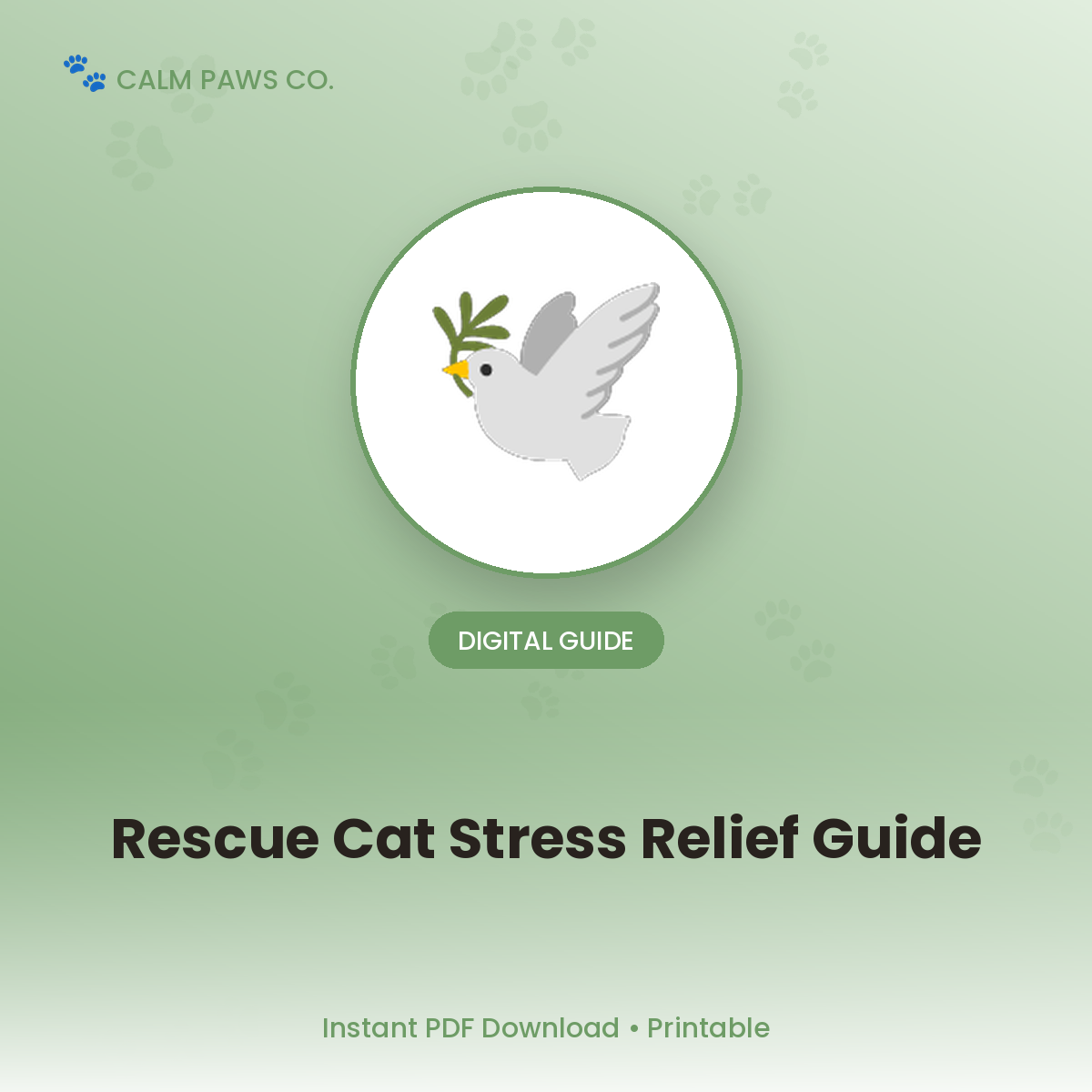 Rescue Cat Decompression Guide