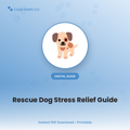 Rescue Dog Decompression Guide