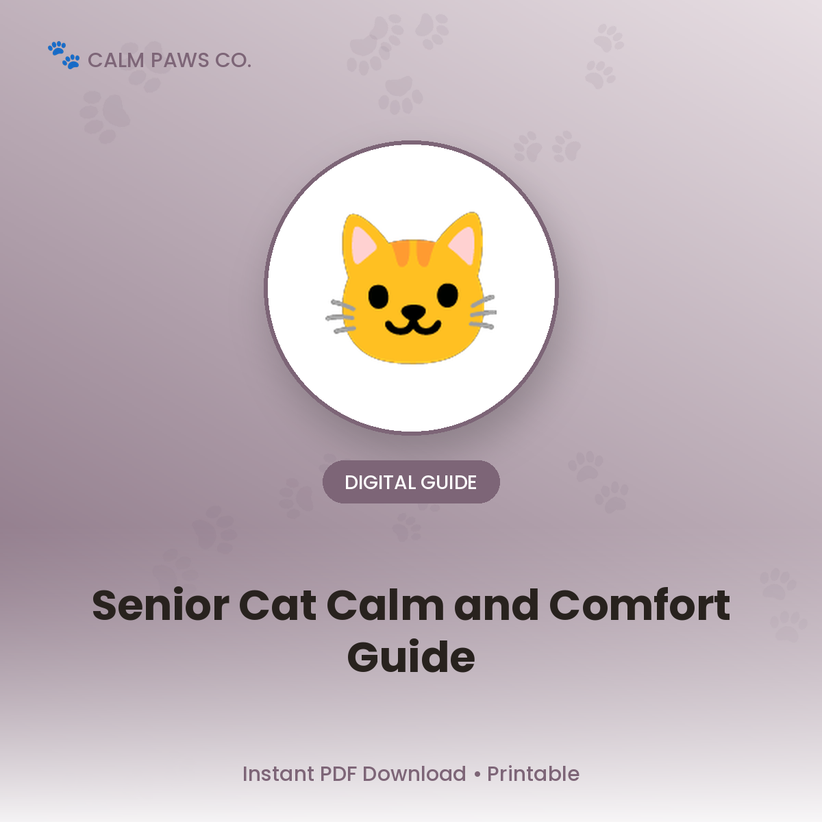 Senior Cat Calming & Comfort Guide